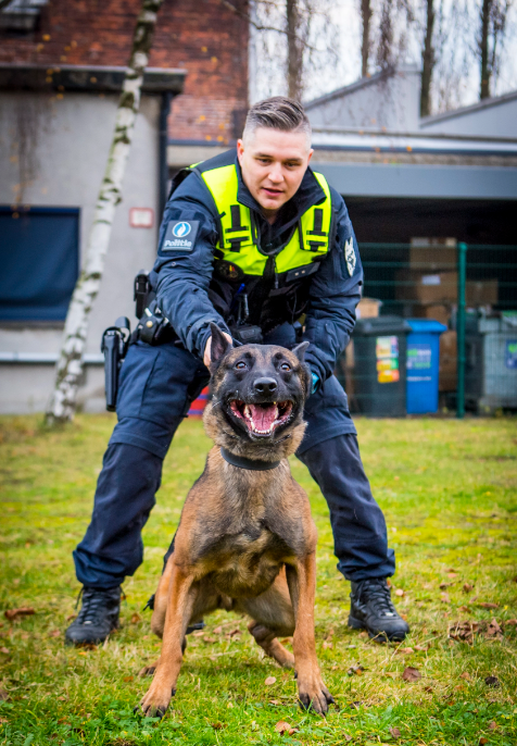 Hondenteam van Politie Antwerpen