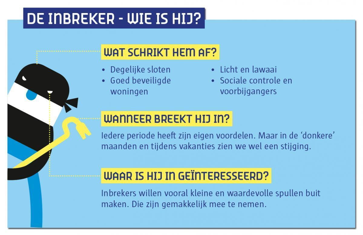 Infografiek: het profiel van de inbreker